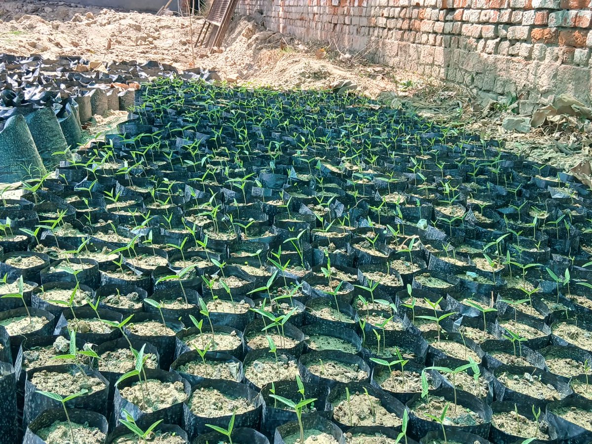 jha_yatendra's tweet photo. Ready 2 create 35 acres of #FoodForest Please rate our successful of 25 days "Bade logon ka" #Startup for the senior citizens living in #oldagehome by #SmartFarmers @jaivikgurugram #SundayMorning #sundayvibes #weekendvibes #weekend #weekendsunshine #weekendfarming #WeekendSmiles https://t.co/AfMRIemHbs