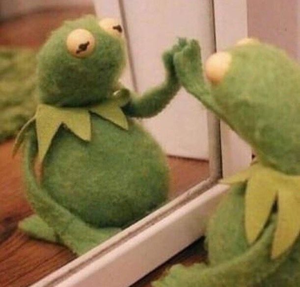 lavenderpain13's tweet photo. Taylor swift albums as Kermit pics https://t.co/Wl7iT8dZdC
