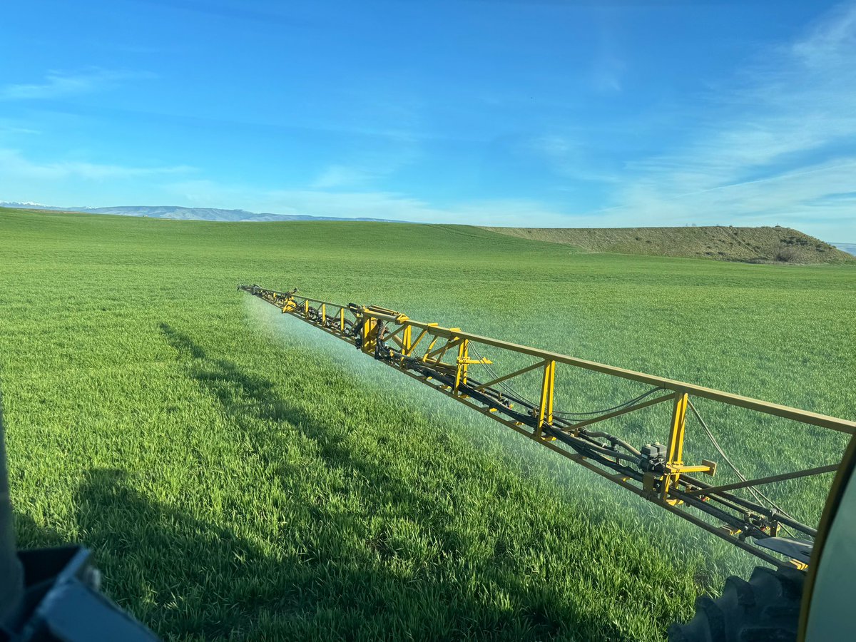 Logan Hoeft tweet media