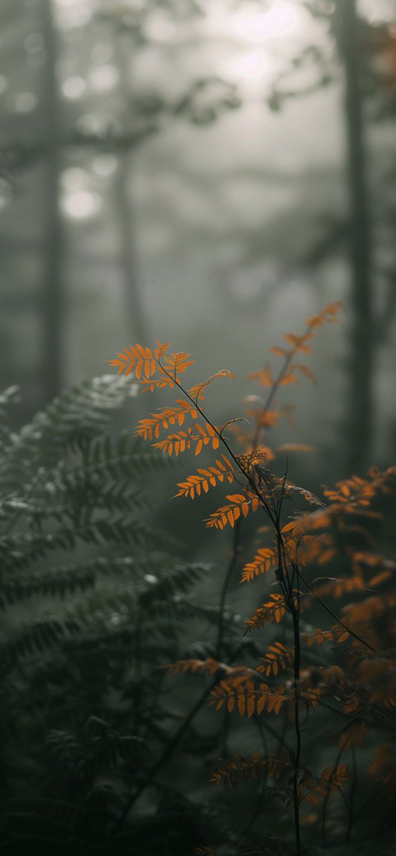 𝕡𝕝𝕡𝕝𝕡𝕞𝕞𝕞𝕞𝕙 tweet media