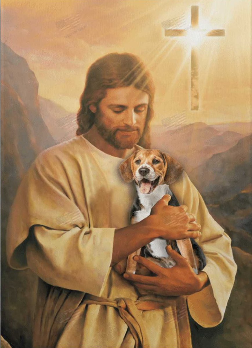 Have a blessed Palm Sunday