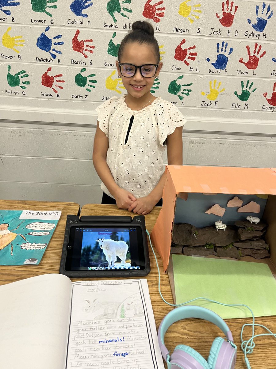 Lewiston-Porter PEC tweet media