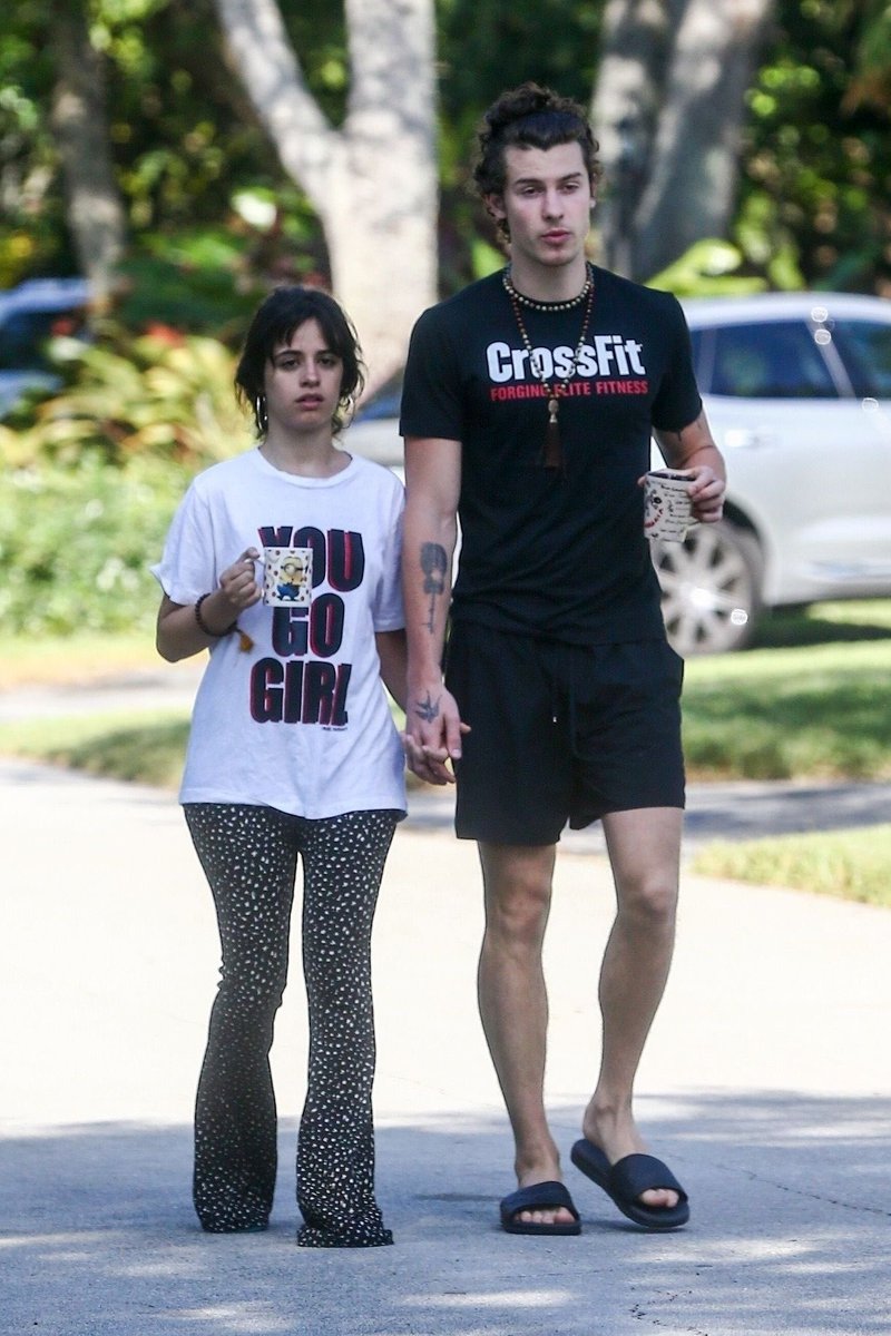 caitlinelambert's tweet photo. forgot there would be more revelers out and about bar hopping in the neighborhood this evening and just went on a very shawn and camila quarantine walk w my dog in a groutfit with wet hair bc we were both exhausted from an afternoon hike https://t.co/a6caf3s91Y