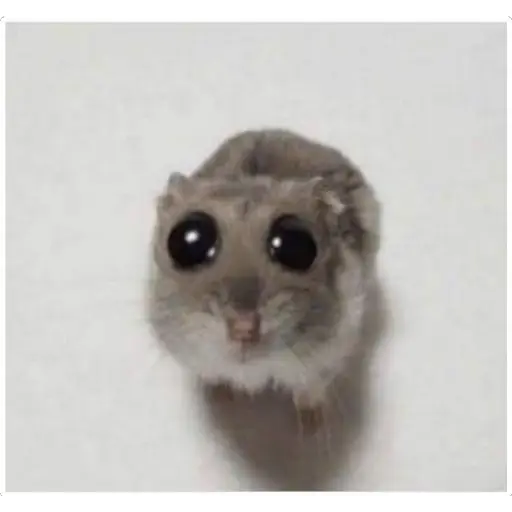 <a href="/Nishkyulol/">Nicolas Zalamea</a> @GeeksideEsports <a href="/TLSesportsteam/">TLS Gaming</a>