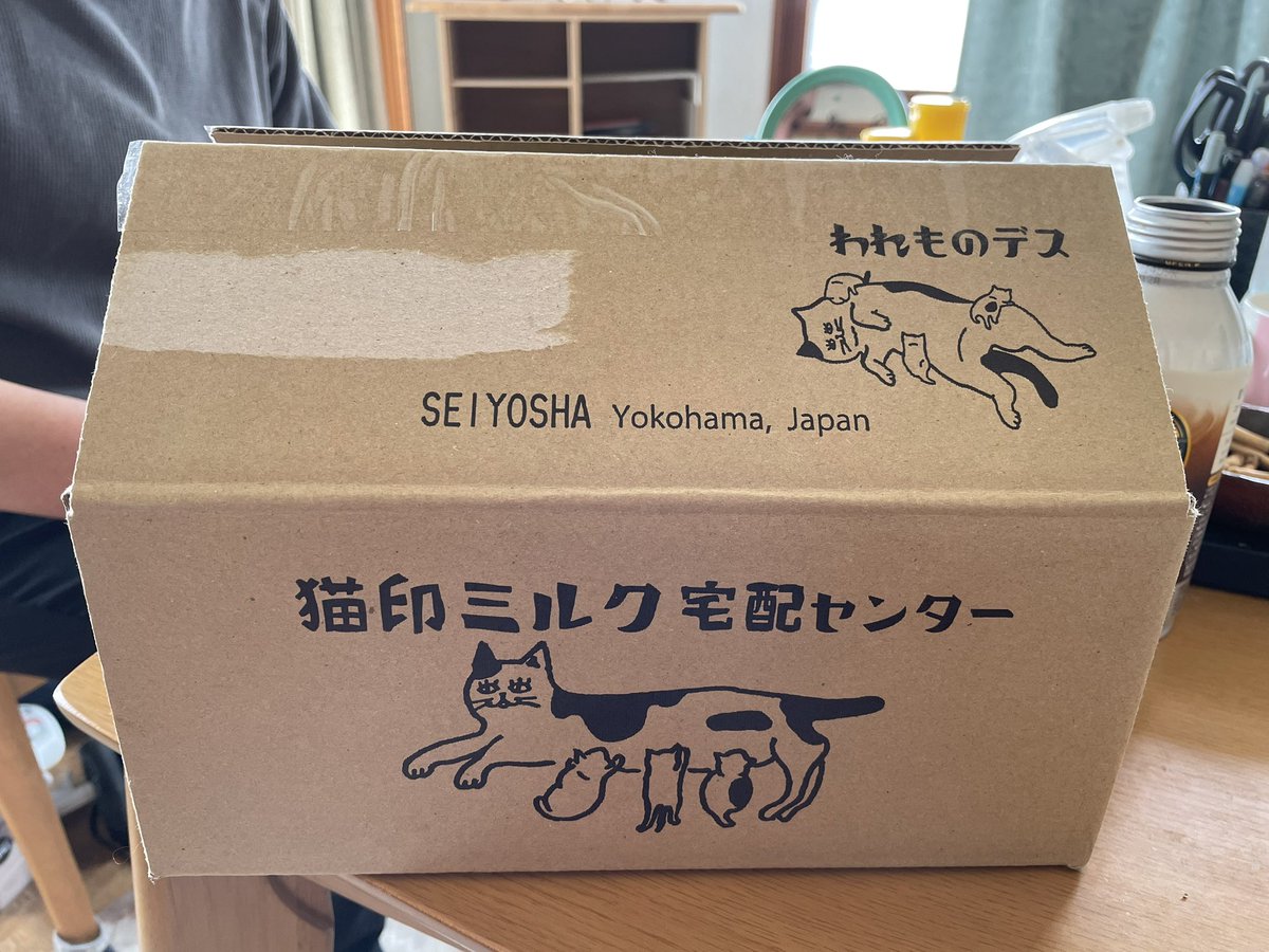 星羊社さんから
<a href="/seiyou_sya/">星羊社　☆本は心のミルク☆</a> 
猫印ミルクのマグ届きました！
なまら可愛い💞✨

この他に黄色とピンクのマグも
あります