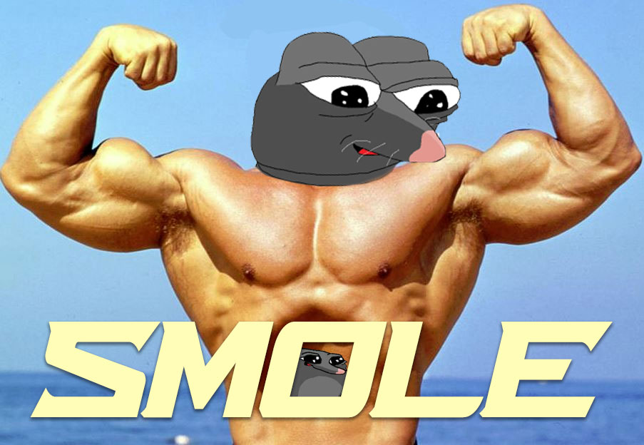 Time to get $SMOLE  x.com/0xDekadente/st…