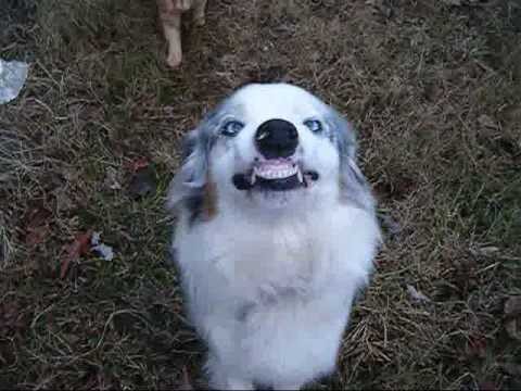 Happy April Fool's Day!