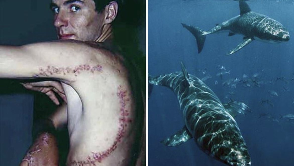 Fascinating tweet media