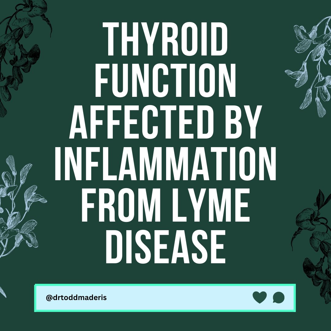 Thyroid Function Affected by Inflammation from Lyme Disease Inflammatory cytokines produced in response to #Lyme disease and other chronic infections directly affect thyroid hormone signaling. #Thyroid stimulating hormone (TSH) levels may decline, reducing signaling to the…