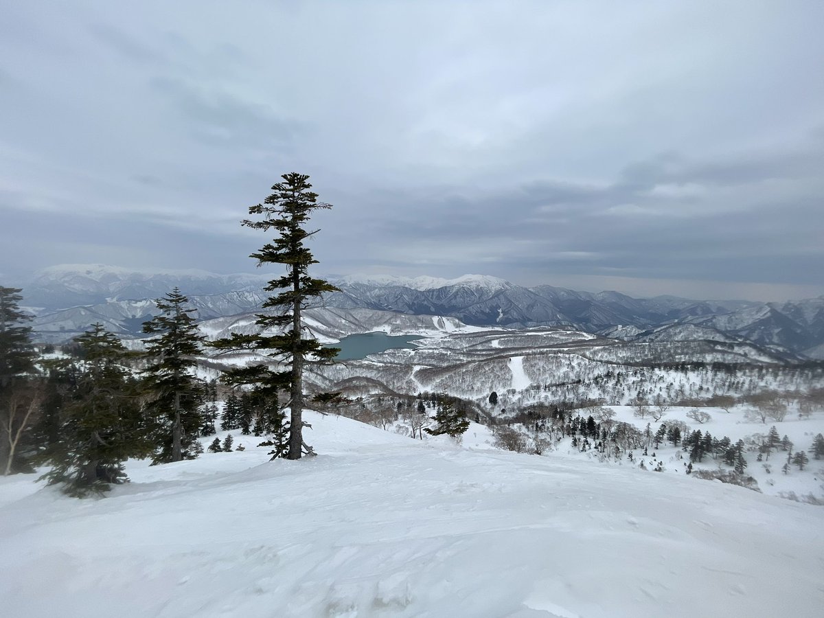kacchi617's tweet photo. 今日も５ロマ裏をまったり
お昼は田代湖を見ながら

#パウダー #powder
#パウダースノー #powdersnow 
#ツリーラン #treeruns 
#salomon #HPS #TAKAHARUNAKAI

#かぐらスキー場 #kagura
#田代 #tashiro
#みつまた #ｍitsumata https://t.co/CIYBHonTYi