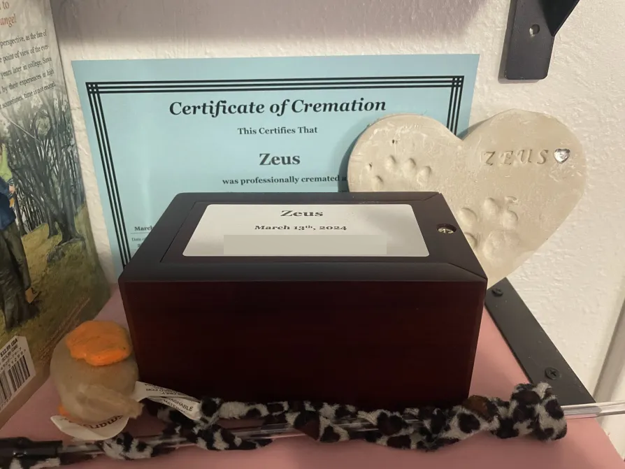 Keywee_'s tweet image. Baby is home now.