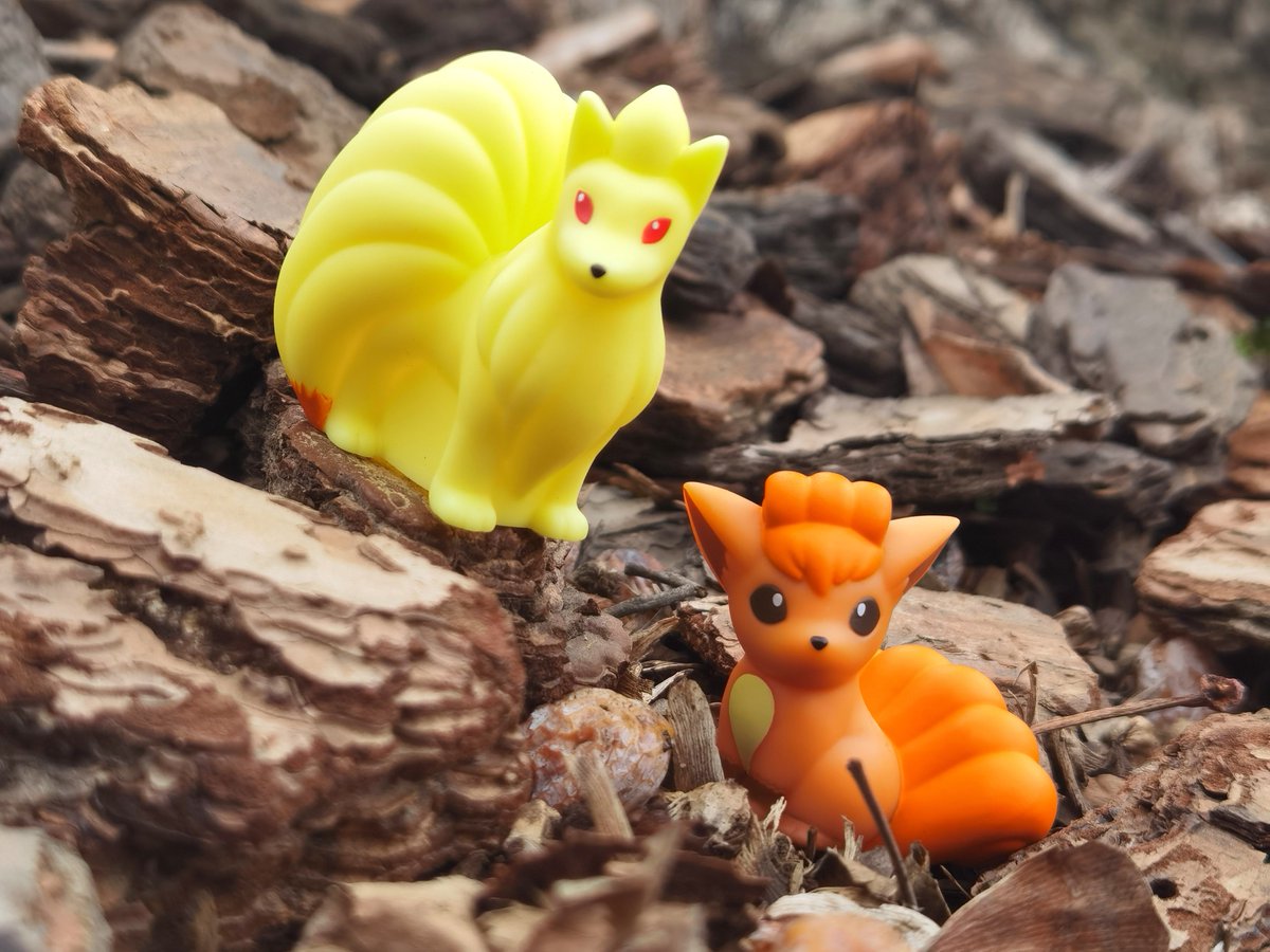 #ロコン 
#キュウコン
#ポケモン
#Pokemon
#オモ写
#フィギュア
#ポケモン百景