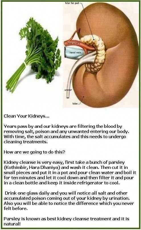 drstacy2024's tweet photo. Take care of your kidneys https://t.co/8gwgc19eXt