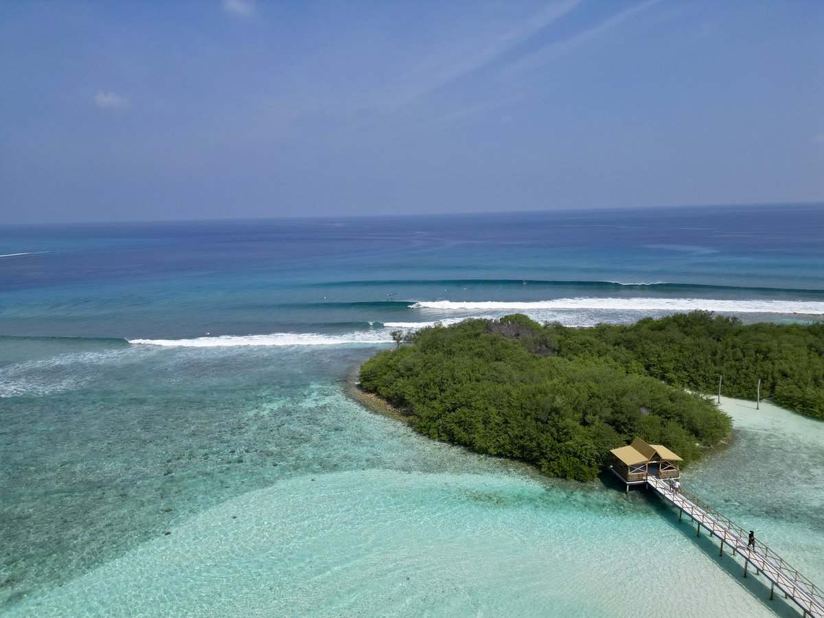 isseykuda's tweet photo. 🌴🌊✨ #thulusdhoo https://t.co/WkC9KjeAw8