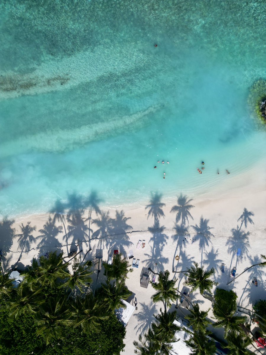 isseykuda's tweet photo. 🌴🌊✨ #thulusdhoo https://t.co/WkC9KjeAw8