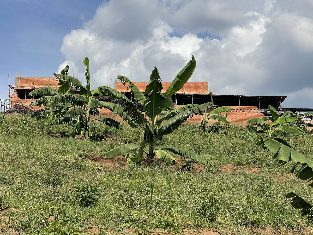 Agro Behavior Change LTD tweet media