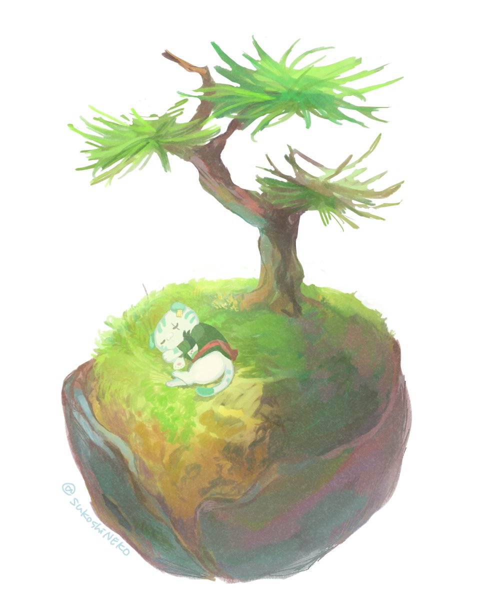 苔玉の妖精ねこ