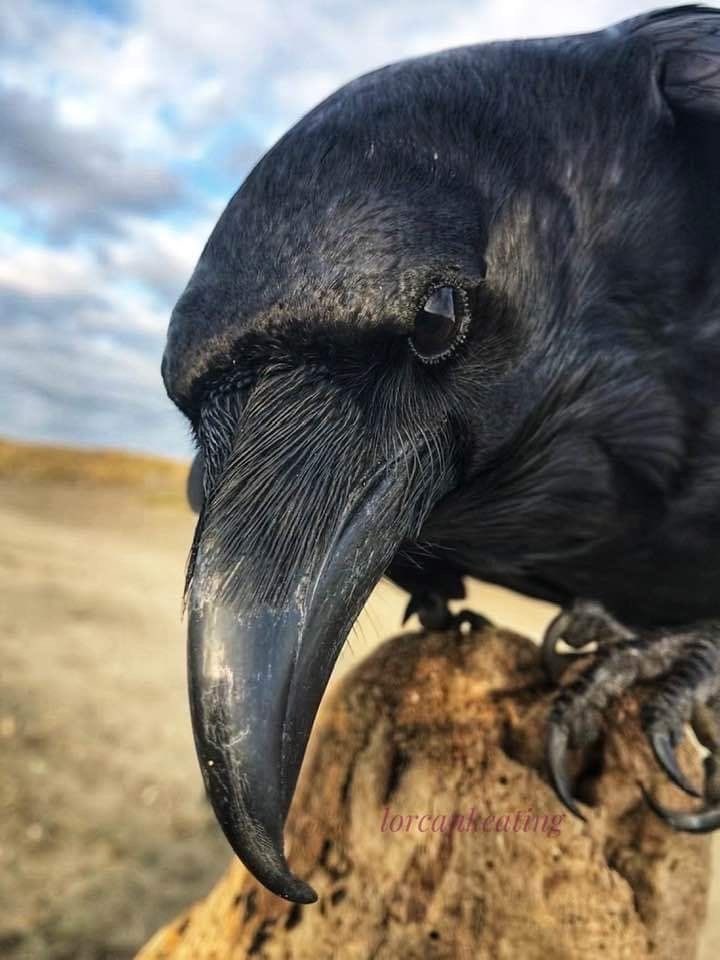 Ha sido una semana dura pero fantástica, y la siguiente promete lo mismo, ¿qué tal la vuestra?
¡Vamos! ¡Falta menos para unos días de vacaciones!
