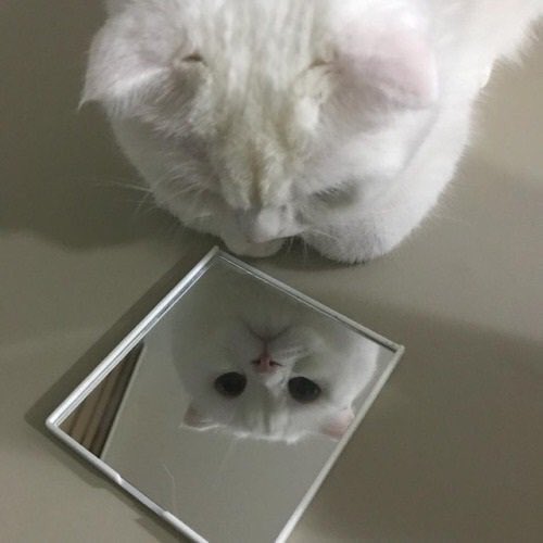 เอ้ะนี่ชั้นเบ๋อ