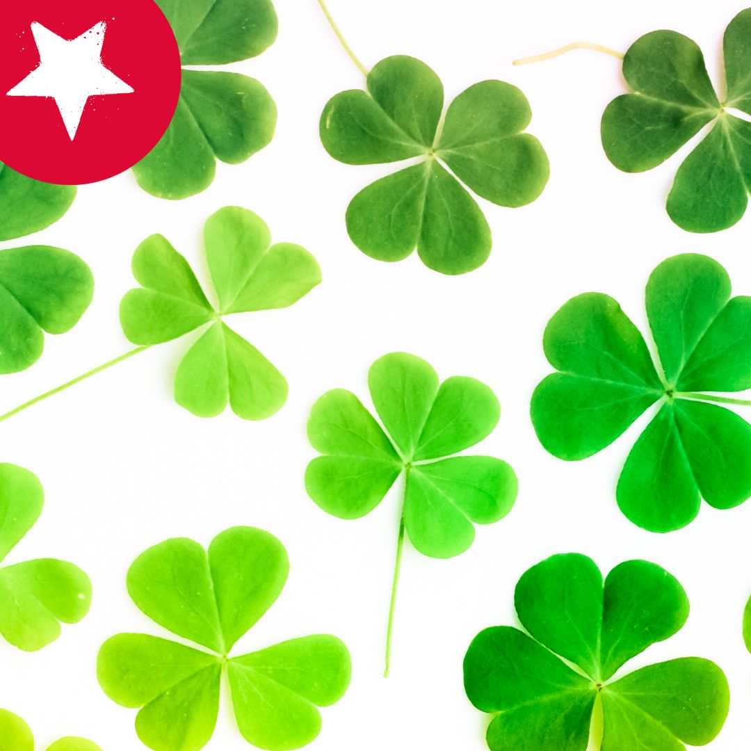 Happy St Patrick's Day! #hr4good #Hrsupport #HRREV #HRSolutions #Ireland #Stpatricksday