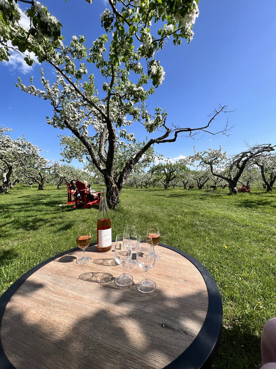 travelb0ug's tweet image. Maybe a glass of rosé in Quebec? #travelbug #quebe