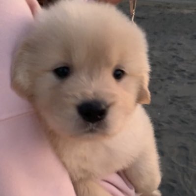 ก่ะแร๊วจาทำแมะ