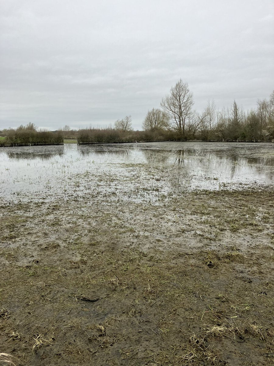 dmsmiff's tweet photo. Hopefully the water levels will have reduced by then so we can get back on the  path! https://t.co/JCxJJbqrmm