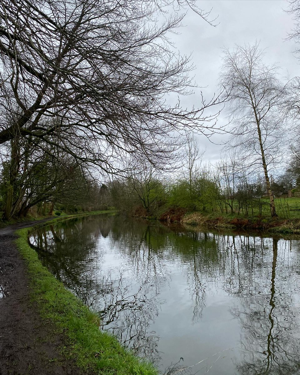 A definite post and pre rain vibe about today’s walk. Soggy paths again and overcast skies, but always good to be out, feeding my growing brood. Lots of ducks, geese and moorhen today, as well as my land birds. #dailywalk #timeinnature #wellbeing #canal #earlymorning #rainyday