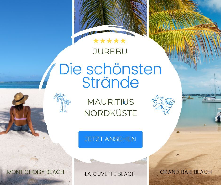 Kombireise's tweet photo. 🏖️ Tauche ein in die Welt der paradiesischen Strände der Mauritius Nordküste mit unseren Blogartikeln! 🌞https://t.co/u5jforBmOY

🌴✨ #Mauritius #Strände #Nordküste #MontChoisyBeach #LaCuvetteBeach #GrandBaieBeach #JUREBU https://t.co/UeLXahmh8B