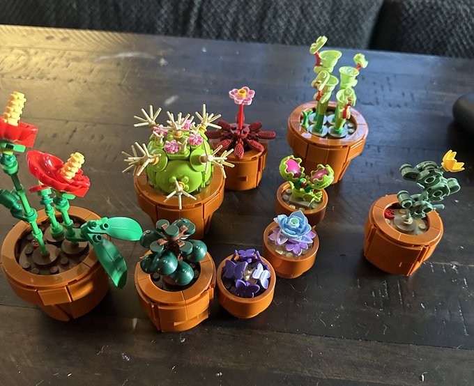I made lil plants with legos 🥹❤️ https://t.co/zvhxEGrqTe