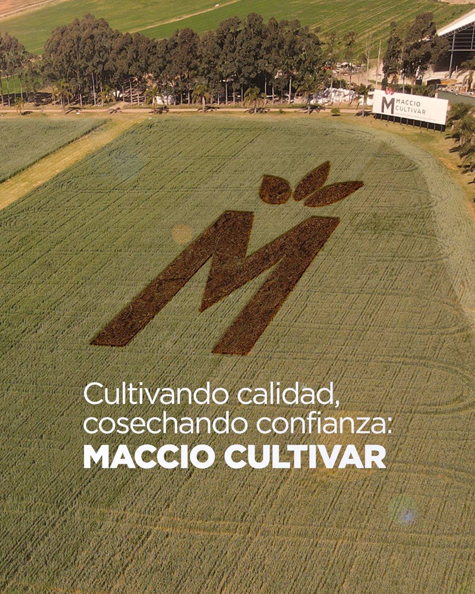RURALES EL PAÍS (@ruraleselpaisuy) on Twitter photo Cultivando calidad, cosechando confianza: Maccio Cultivar <a href="/macciocultivar/">Pedro Maccio y Cía. S.A.</a> 🌱
Fertilizantes, protección de cultivos y semillas.
#MaccioEnTuCultivo Cultivando calidad, cosechando confianza: Maccio Cultivar <a href="/macciocultivar/">Pedro Maccio y Cía. S.A.</a> 🌱
Fertilizantes, protección de cultivos y semillas.
#MaccioEnTuCultivo