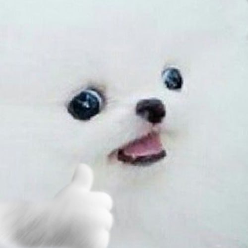 Pokeee.eth tweet media