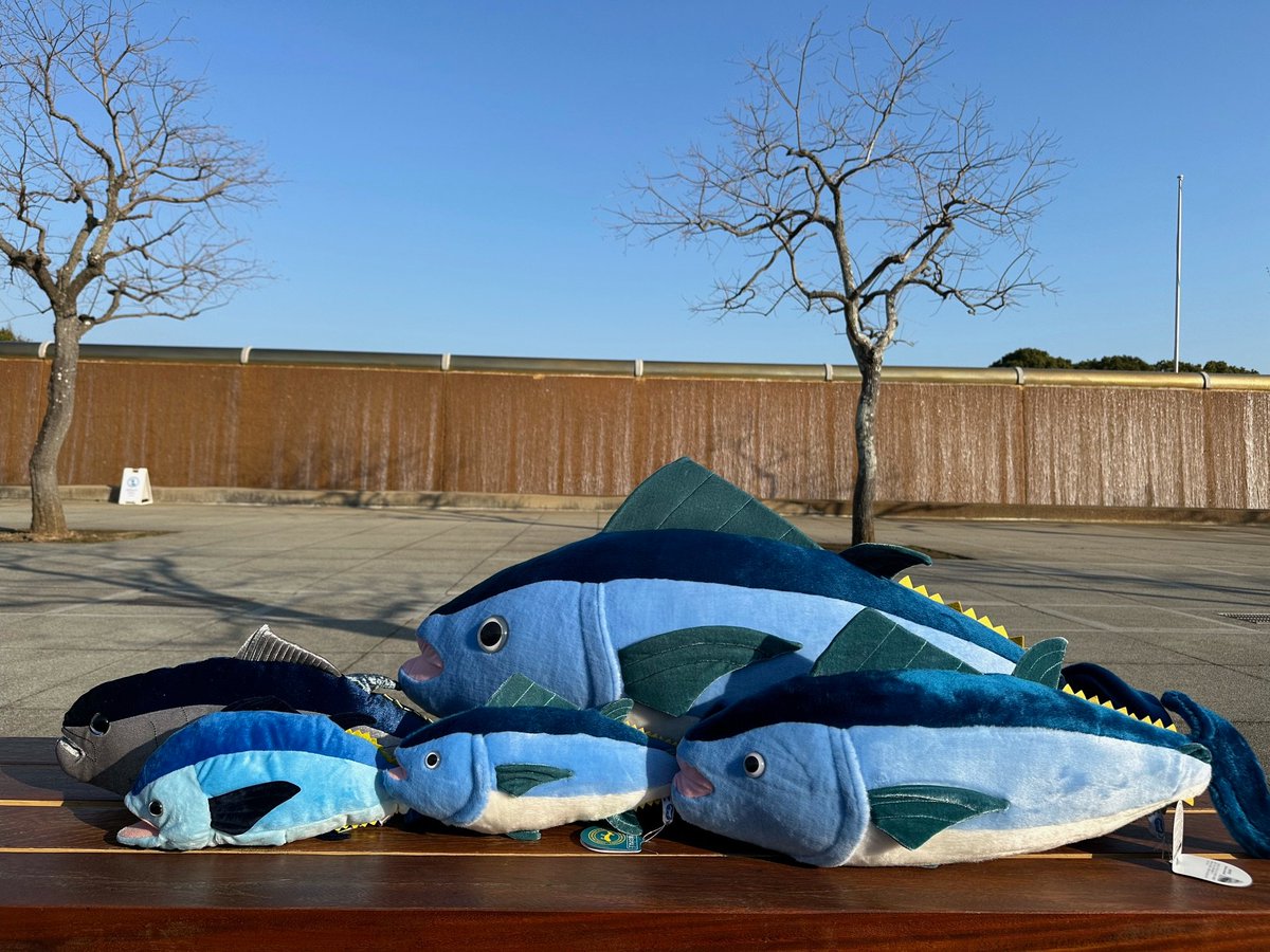 希少 ビンテージ 日本製 葛西臨海水族園 マグロ クロマグロ ぬいぐるみ当時物 希少 ビンテージ 日本製 葛西臨海水族園 マグロ クロマグロ