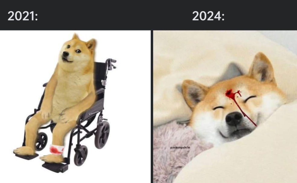 thejoy_Chkrbrty's tweet photo. No context https://t.co/z7urP5vdnv
