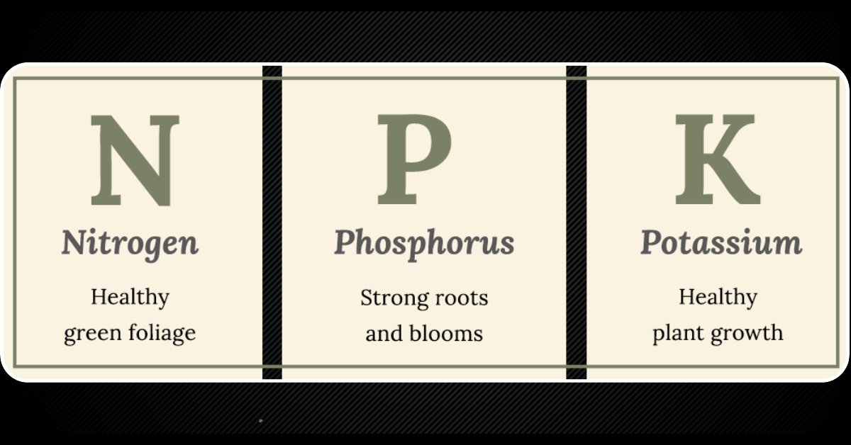 NPK Fertilizer Explained  
Read more: mumerjaved.com/?p=334
#revolutionwithagriculture mumerjaved.com #Agriculture #crops #Plants #farming #farmers #agriculturalscience #modernagriculture #NPK #Fertilizer #PlantNutrition #SoilHealth #CropYields #PlantGrowth #CropHealth
