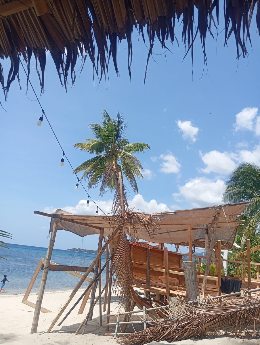 magicmire_'s tweet photo. Beached. #MayoraTheExplorer https://t.co/Dn6Rst731H