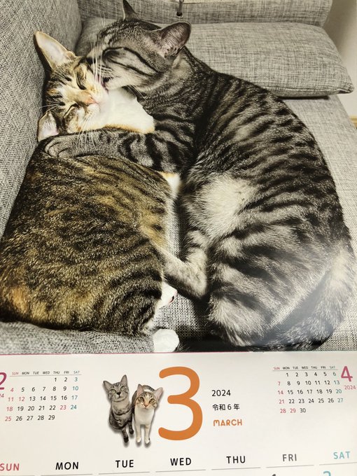 クリムトにゃんこかわいい(ととまるはんみ) 