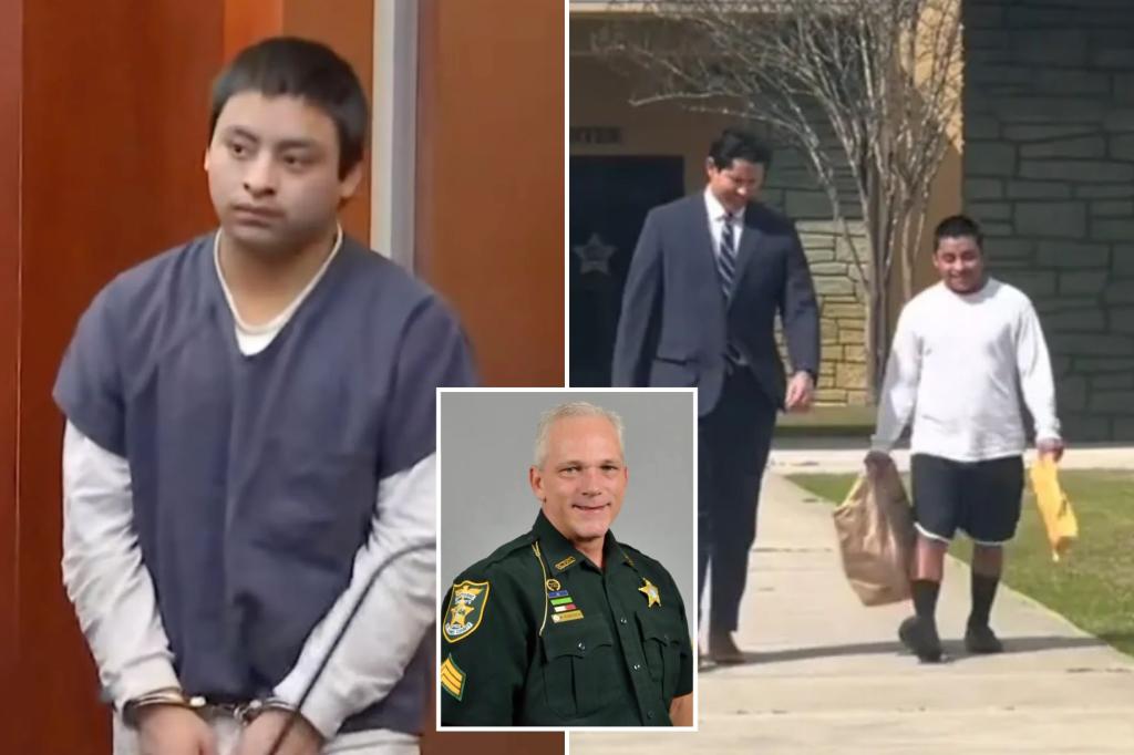 Guatemalan illegal migrant accused in police sergeant’s death is released trib.al/fWi7GeL