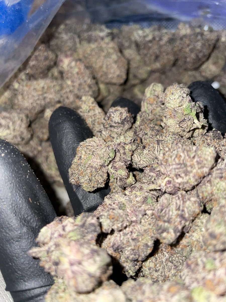 NFKEXOTICSSS's tweet photo. London Jelly 🍇 
3.5=$25
7=$50
14=$100
28=$150
56=$220
112=$400

#houstonweed #houstonplug #houstonza #houstonexotic #ManvelPlug #Katyplug #CypressPlug #PearlandPlug #MocityPlug
#NFK🎋 https://t.co/mpXIhDZn2L