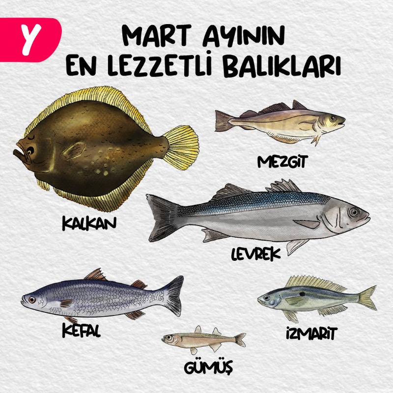 Bu ayın en lezzetli balıklarını listeledik!🐟❤️
Mevsim balıkları Yemeksepeti Mahalle balıkçılarında seni bekliyor.💖