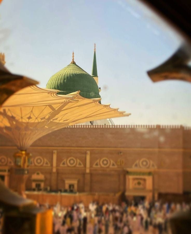 جن کی کوئی بھی دوا دستِ زمانہ میں نہ تھی ہائے.......!!
 وہ دل بھی شفایاب مدینے میں ہوئے❣️