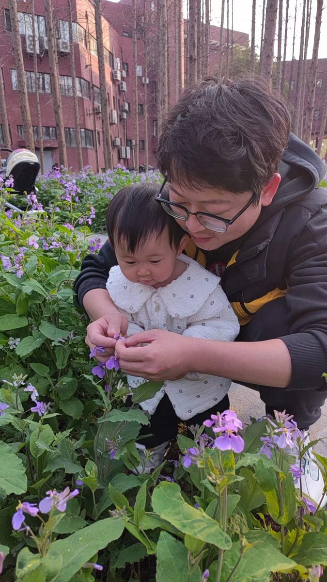 Miaoyuan HUA(华淼源) tweet media