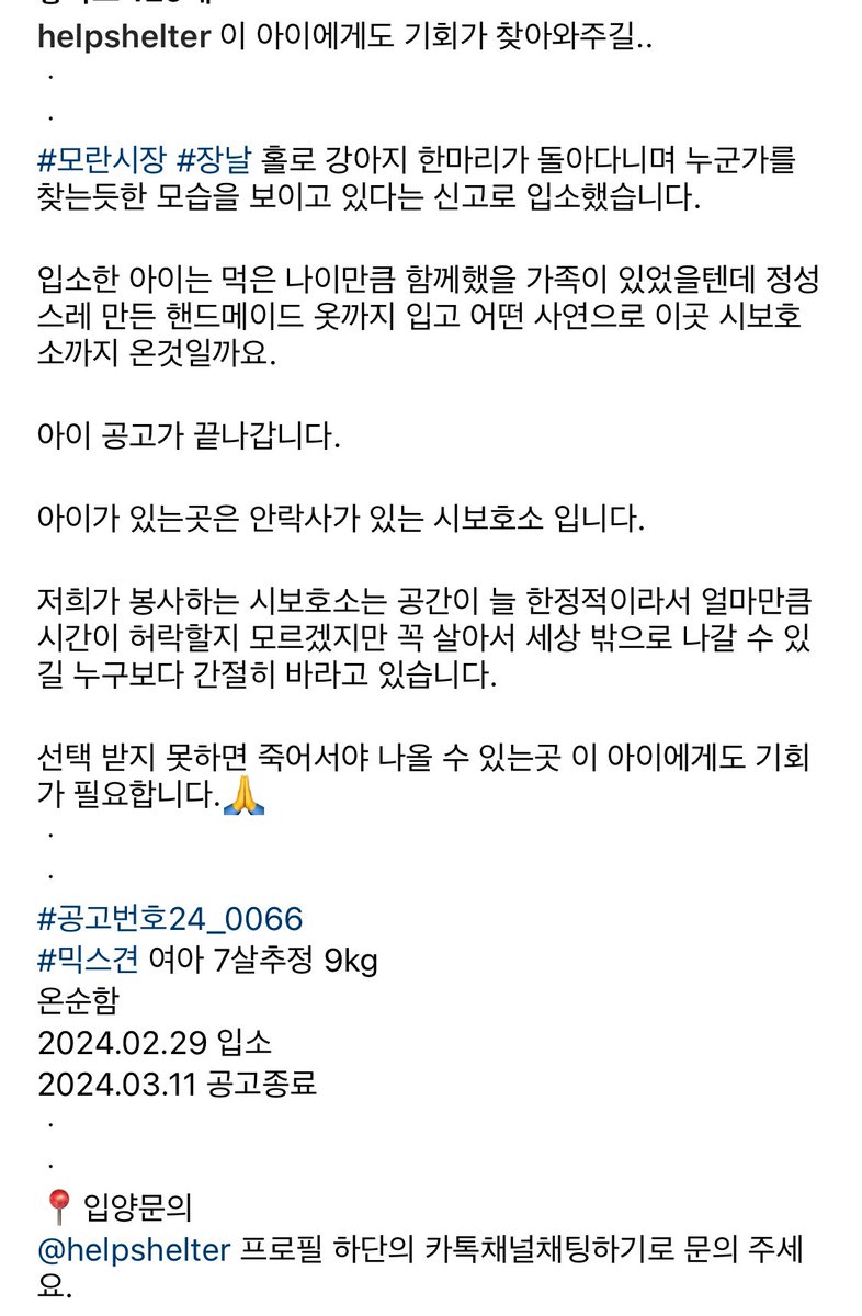 kimchurros's tweet photo. 모란시장 쪽에서 돌아다니던 아이인데 발견당시 손으로 만든 옷까지 입고 있었다고 해요. 가족들도 찾고 있을 가능성이 많은데 가족찾기 좀 도와주세요. 원문링크👇
https://t.co/RmuynsQZLB https://t.co/a4IStV19Uf