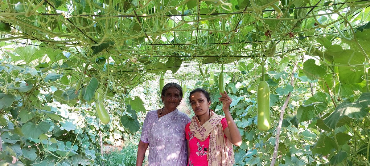 ಅಜ್ಜಿಯೊಂದಿಗೆ ಕಾಲ ಕಳೆಯುವುದೇ ಒಂದು ತರ ಖುಷಿ ಕೊಡುತ್ತದೆ #nalinikolar
#nalinigowdakolar