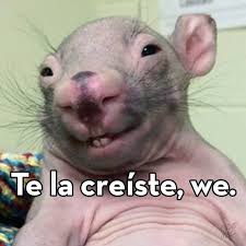 HugoRodas98's tweet image. Nosotros: No se fue la luz hoy, que bueno
La ANDE: