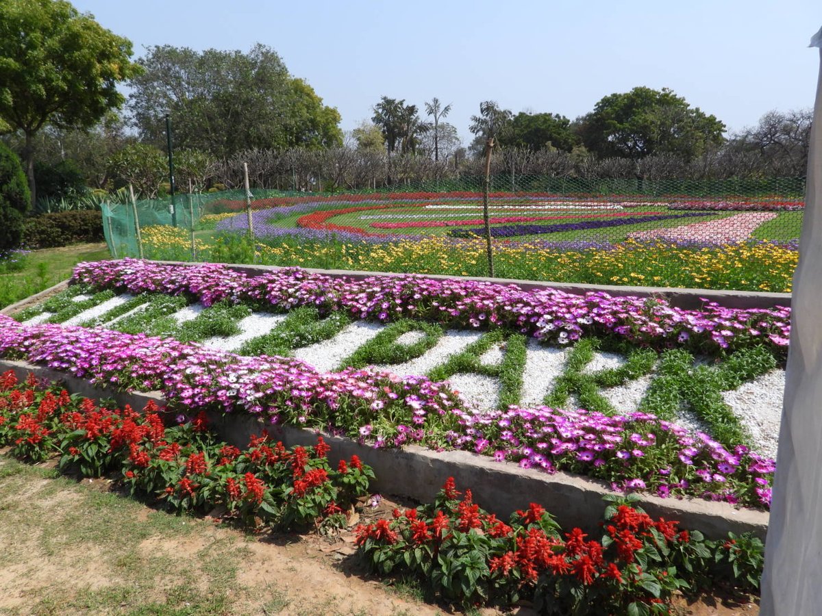 #GardenersWorld #DelhiNews #delhi #IncredibleIndia #indiAves #nehrupark