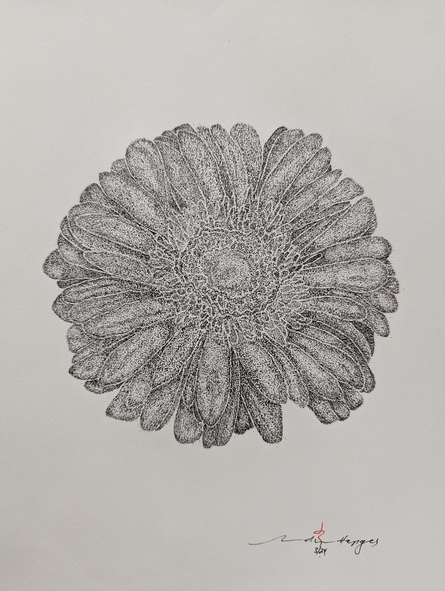 RevHappiness's tweet photo. Gerbera
Felt pen on A4 art paper
If you'd like it, drop me dollars to cover postage and some donuts and it's yours
#PointillismArtwork #Pointillism #PointillismArt #Stippling #StipplingArt #StipplingArtwork #Artline #ArtlinePens #Unipen #TheDrumAndPage #Art #ArtForSale #Gerbera https://t.co/LozrfPuxPk