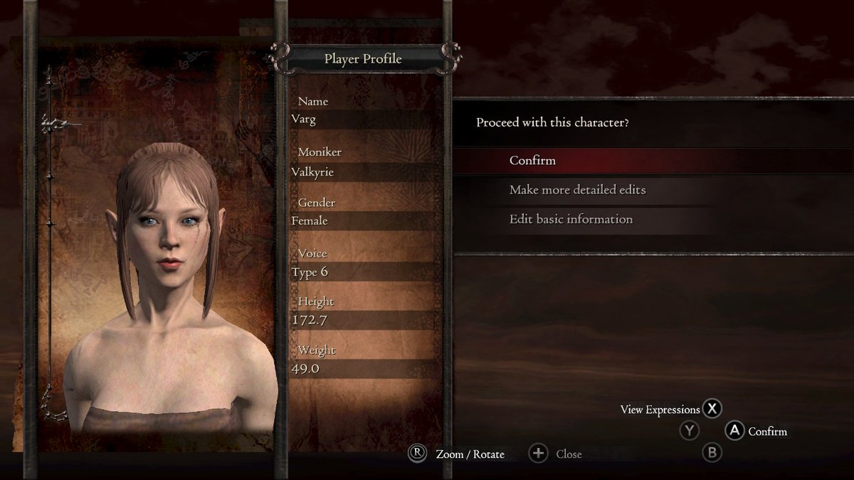 GuardVarg's tweet image. #DDDA #DragonsDogma #NintendoSwitch