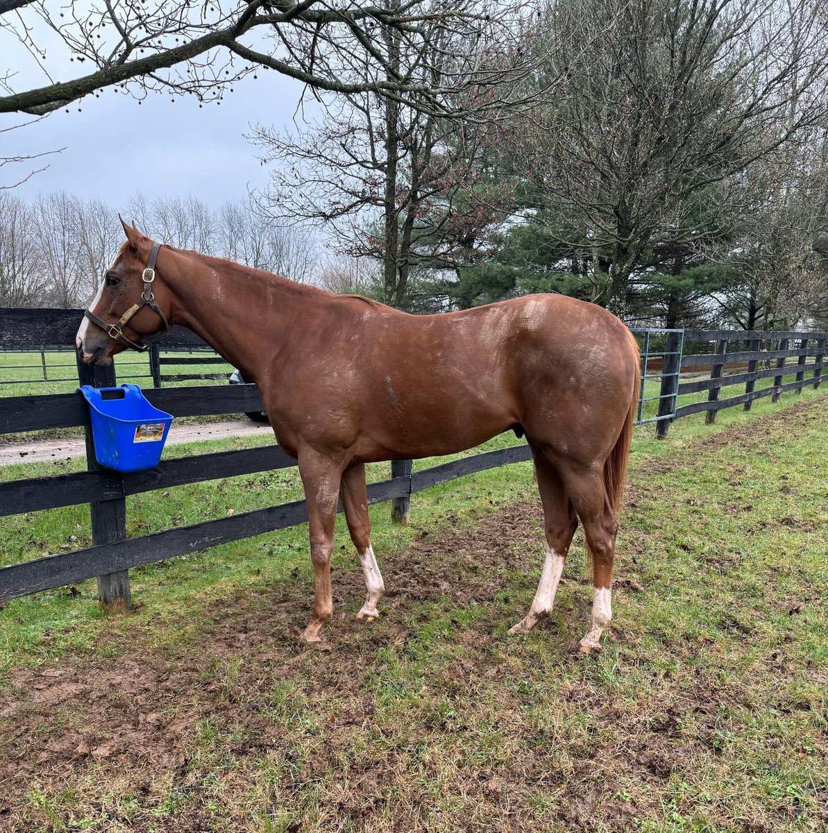 Jstewartrr tweet media