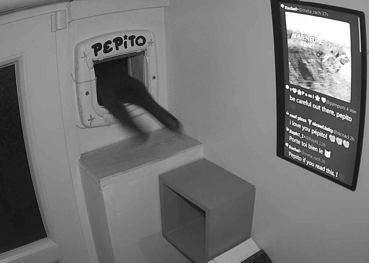 Pépito is out (05:51:03)